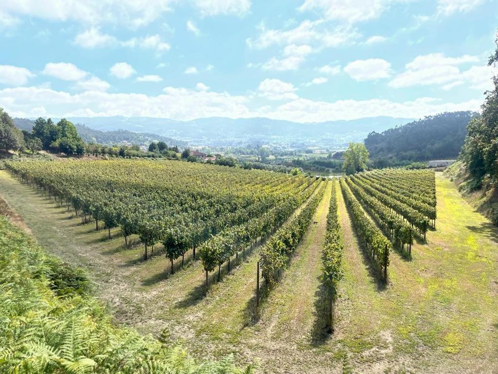 Quinta Picouto De Cima Villa Guimarães Kültér fotó